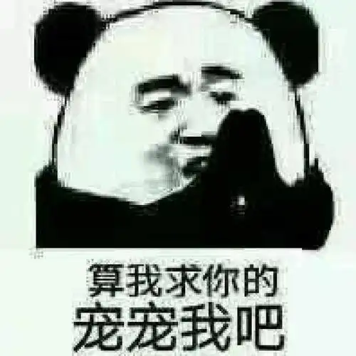 搞笑gif趣图见过世面的猫猫,一般游戏可是诱惑不了我哦
