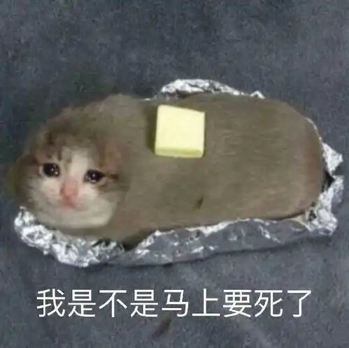 有哪些让人看完秒收藏的沙雕朋友圈文案
