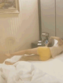 搞笑gif如果这是你媳妇,你会让她去上班吗
