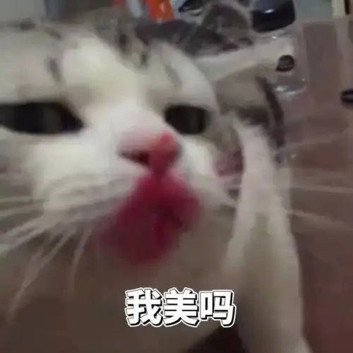 完球了表情
