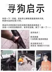 这群遵义娘娘跳街舞火了炫酷拉风
