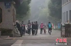 南京重度雾霾致中小学幼儿园停课高清组图
