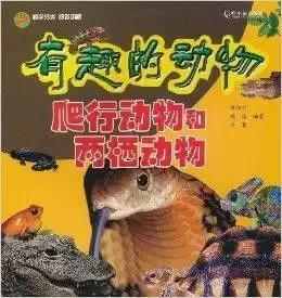 有趣的动物爬行动物和两栖动物
