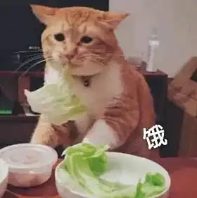 为什么你总在吃,还一直饿专家是这些原因导致的
