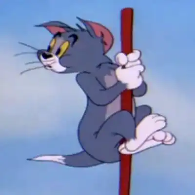 汤姆猫头像高清大全汤姆猫坏笑经典微信头像
