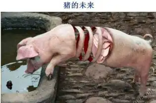 单身狗是不早恋的好宝宝每日轻松一刻5月14日周六版
