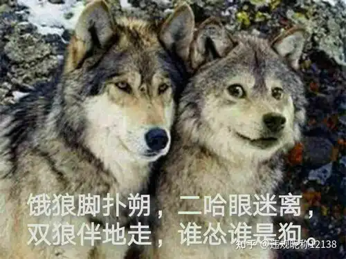 觉得自己很孤独没人懂我怎么办
