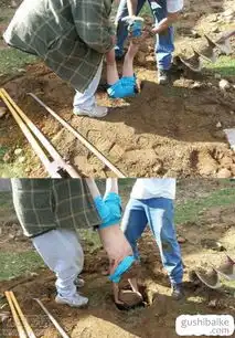 搞笑图片大全搞笑图片笑死人故事百科
