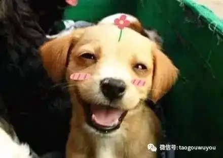 笑一笑,生活没有什么大不了
