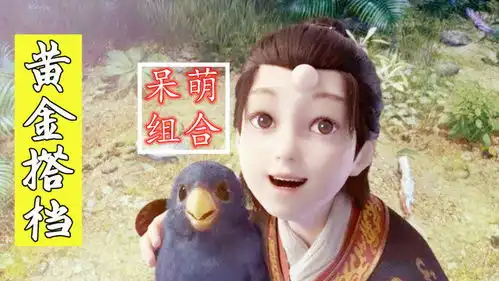 呆萌的胖鸟搞笑的主人,真是绝配了
