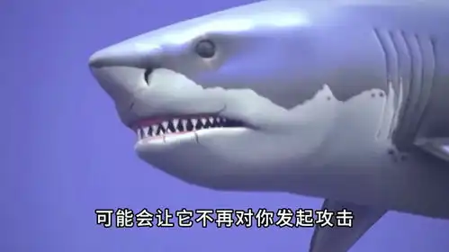 三个冷知识,用真牙齿做成假牙,射击反弹之谜,如何智斗鲨鱼
