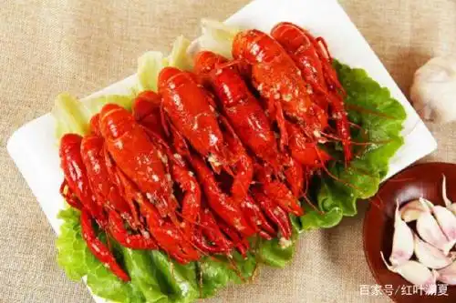 在广东为什么很少有人吃小龙虾呢
