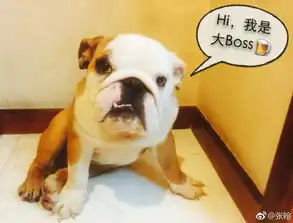 组图张翰痛心爱狗去世发照片怀念昔日温馨点滴
