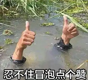 学生时代男生和男生谈恋爱才能共同进步

