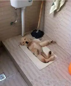 搞笑组图这就是你们喜欢夏天的原因
