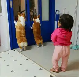 家里的狗狗老趴在门上看,宝宝一脸好奇我看看你们到底在看啥
