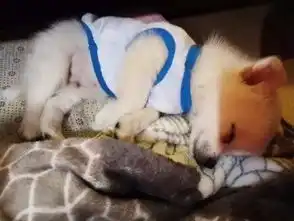 我控制不了自己了看见洞就想钻
