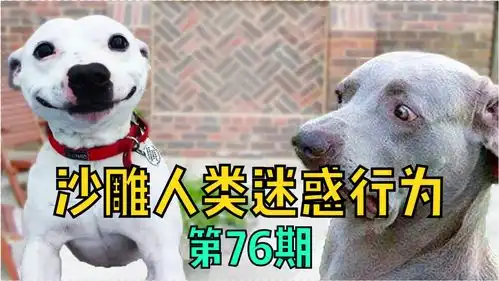 搞笑视频为了祖国下一代,再丑也得谈恋爱沙雕合集
