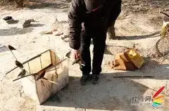 弦至之时皆逸趣索尼mv1记北京胡同文化
