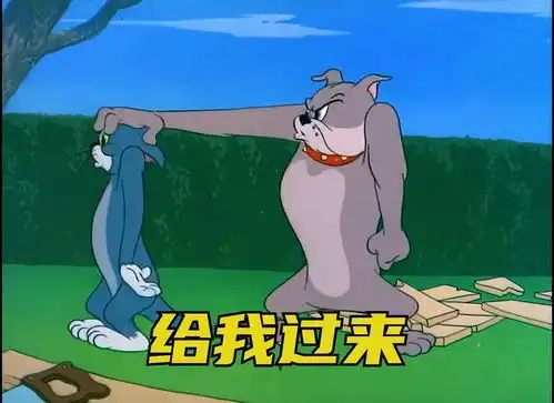 你给我过来,我等你半天你对象表情包搞笑视频情侣经典段子猫和老鼠
