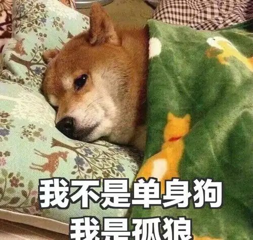 深圳男子为签销售合同,同意42岁富婆来家里玩,结果肠子都悔青

