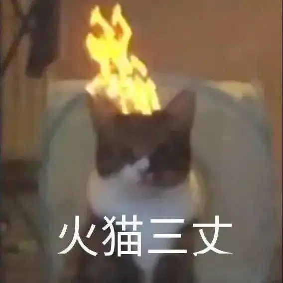 表情包我是一个单纯的人
