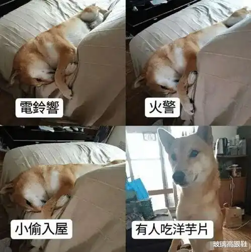 那些年知乎上都有哪些神回复哈哈哈哈哈,网友回复笑出猪叫声
