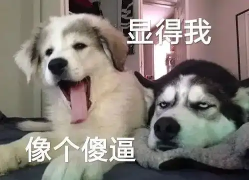 娃子早慧,当妈的每天遭受一万点伤害
