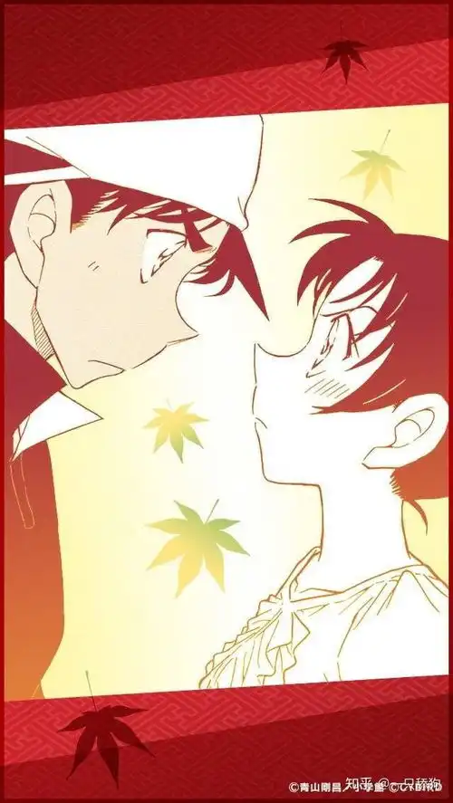 你见到最搞笑的名侦探柯南的动画和漫画图片是怎么样的
