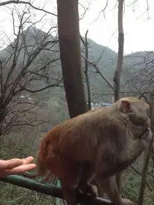 贵州黄果树瀑布,千户苗寨

