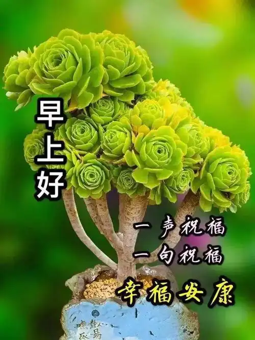 2020最新漂亮早上好问候动态图五月最美微信早上好祝福语图带字
