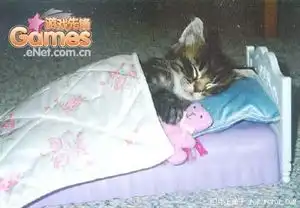 极品搞笑图片集锦
