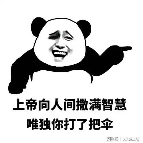 幽默段子我要的生日礼物,是可以一下从0变到100的东西红杏网易订阅
