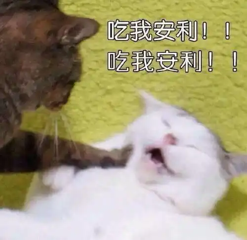 买买买清单我掐指一算,是时候给你们分享好物了
