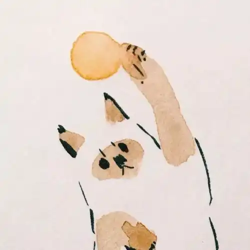 可爱有趣又不失风度的头像

