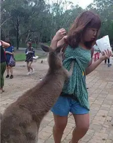 师生笑话,学校笑话,幽默笑话笑话搞笑师生笑话,学校笑话,幽默笑话精选爆笑师生笑话,学校笑话,幽默笑话大全第2733页别逗了
