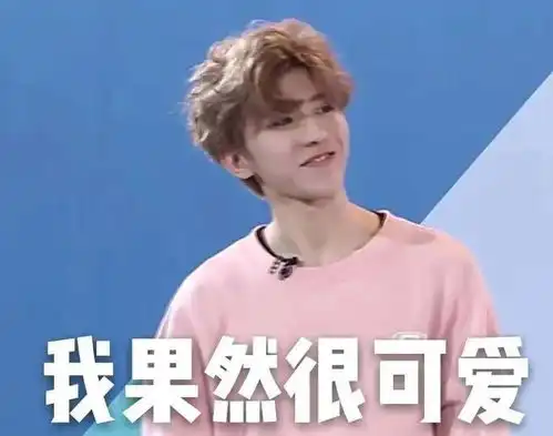 忙活大半夜的蔡徐坤,太好笑了
