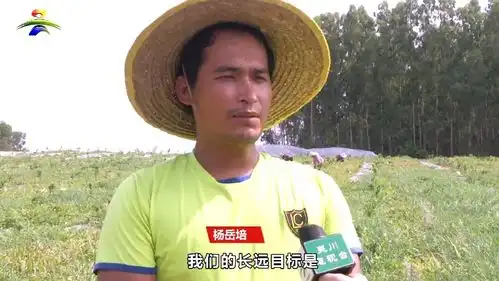 厉害了覃巴90后姐弟回乡搞种植,百亩西瓜喜获丰收
