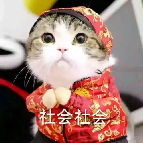 秒杀支付宝花呗锦鲤,2019最强转运红色单品诞生了
