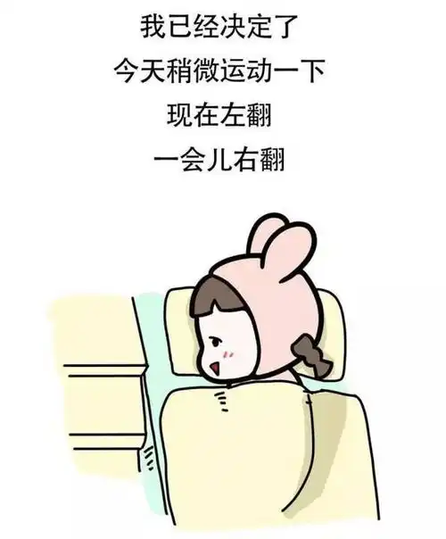 不赖床是种什么体验
