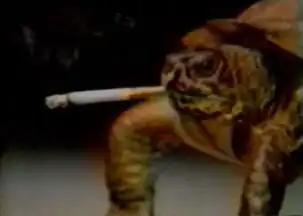 全球搞笑动物图集鸭子抽烟酷劲十足
