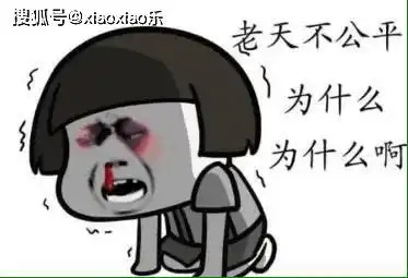 最风趣,最幽默的段子,瞬间把人逗笑,开心最重要妻子
