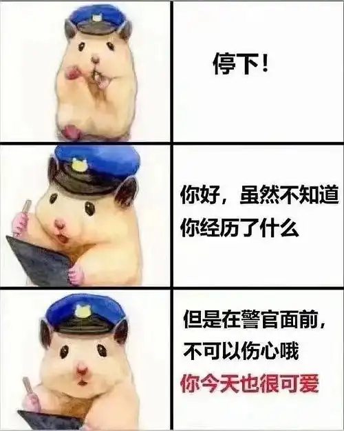我的收藏
