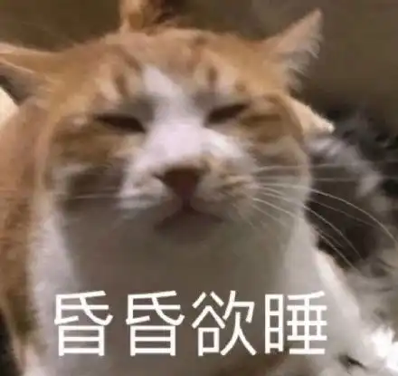 猫和老鼠表情包图片最新可爱搞笑热门
