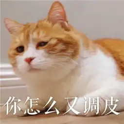2018猫咪可爱带字搞笑头像qq群头像我从一个小可爱长成大可爱
