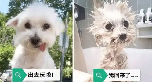 上海发布暴雨蓝色预警,预计未来6小时内将出现短时强降水
