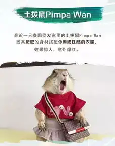 别让无趣的逛街,谋杀了你的时间正弘城首次品牌大曝光
