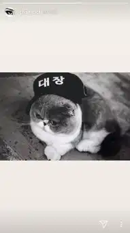 太帅气韩国人气爱豆亲自上场撕老板,粉丝大怒走吧,这里不值得
