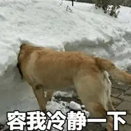 正月里来闹元宵,给你生活一点甜
