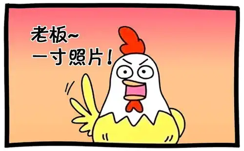 恶搞漫画难倒摄影师的一寸照片

